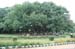 Lal-Bagh-10